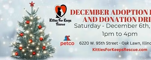 Cat & Kitten Adoption Event and Donation Drive @ Petco in Oak Lawn