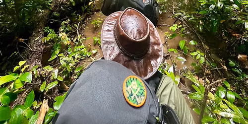 JungleCraft - Expedition Skills for the Tropics