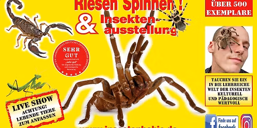 Insectophobie Regensburg