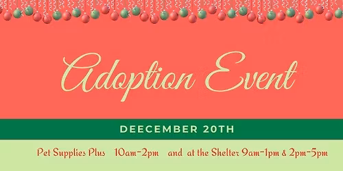 Adoptions at Pet Supplies Plus & at the Shelter 