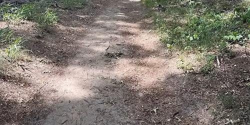 Hike + Yoga