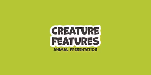 Creature Features - Merry, the Sonoran gopher snake