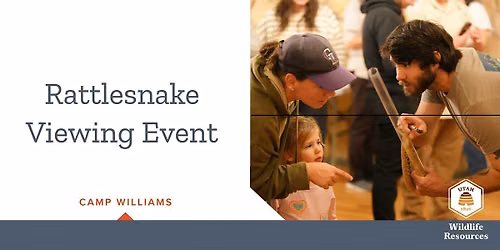Rattlesnake Viewing Event - Camp Williams