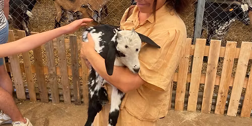 Cheese \ud83e\uddc0 maker and goat \ud83d\udc10 herder for a day. 