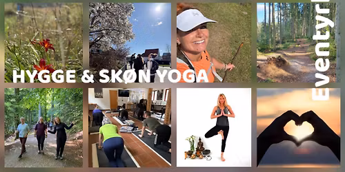 For\u00e5rstur p\u00e5 Silkeruten - l\u00e6kkert mad & sk\u00f8n yoga