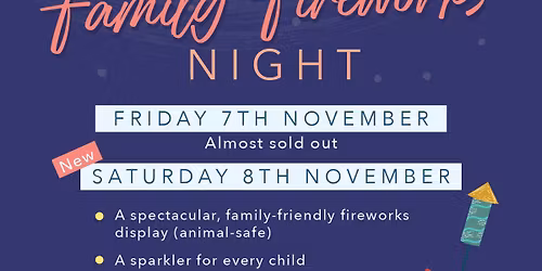 Family Fireworks Night