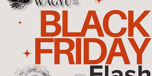 Black Friday Flash Sale