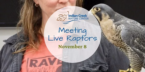 Meeting Live Raptors