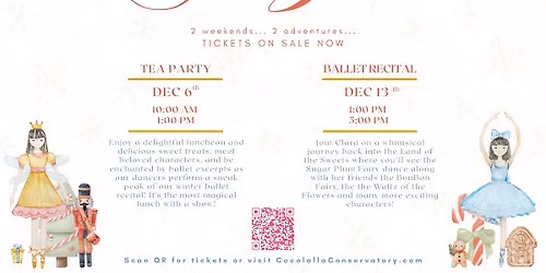 Land of the Sweets- Ballet Recital