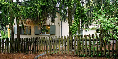 Ny\u00e1rk\u00f6sz\u00f6nt\u0151 erdei j\u00f3gat\u00e1bor