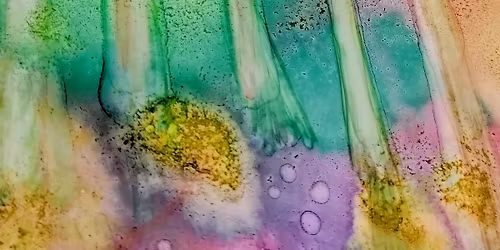 Alcohol Ink Art Day + Light Lunch