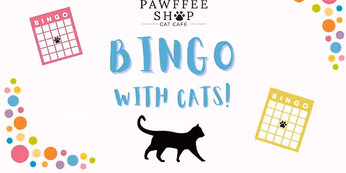 SOLD OUT- Bingo With Cats!