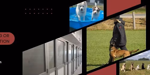 Level 2- ecollar class