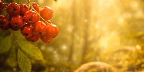 The Rowan Tree and Rowan Maiden