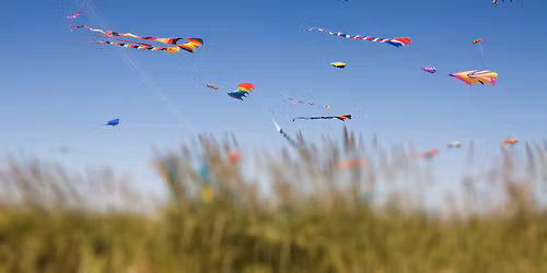 1st Annual Brookfield Kite Picnic