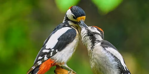 Meid\u00e4n luontoretki