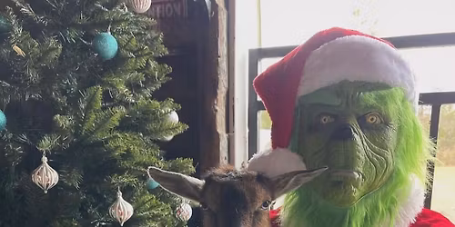 Christmas On The Farm \ud83e\udd99 \ud83c\udf85 \ud83c\udf84