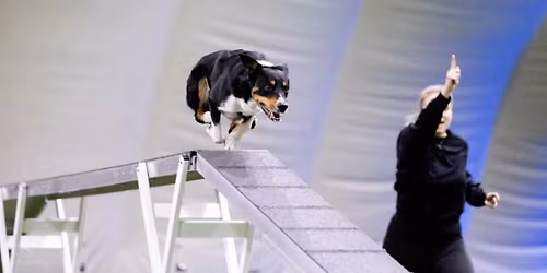 Seminarium z Hella Illenyi - Bielsko-Bia\u0142a