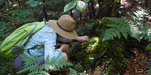 Exploration Series: Making a Ground Mandala with Nature at Bisson Preserve 