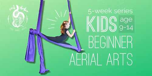 Kids Aerial Silks 5-week series