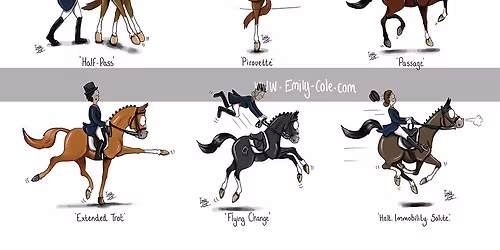 ***OPEN UNAFFILIATED DRESSAGE***