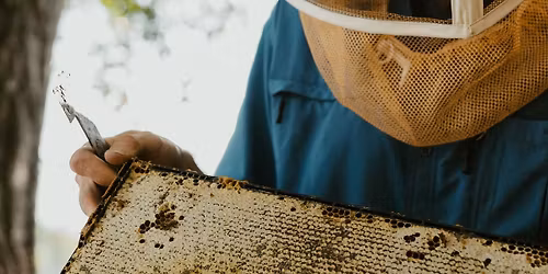 Adventure in Beekeeping (101) Beginners Class | Monday April 6th