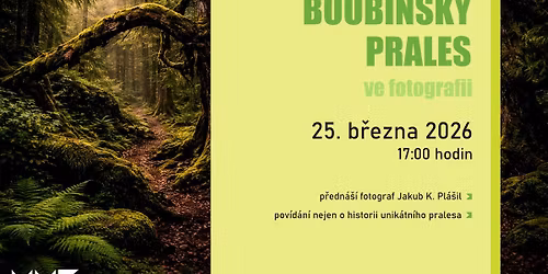Boub\u00ednsk\u00fd prales ve fotografii