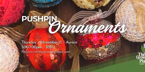 Push Pin Ornaments Workshop - Aurora