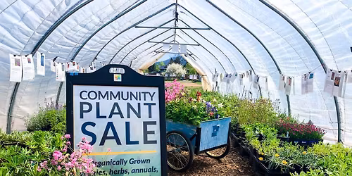 Community Plant Sale-Weekend 2