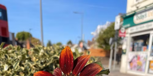Plant up Hackbridge - community gardening