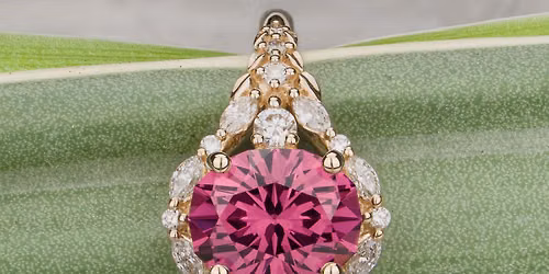 Pink Halo