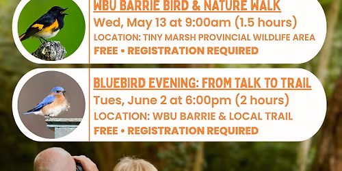 \ud83d\udc26FREE\ud83d\udc26 Spring Bird & Nature Walks with WBU Barrie & Newmarket