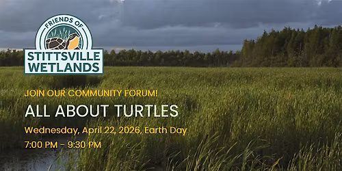 All About Turtles - A Community Forum