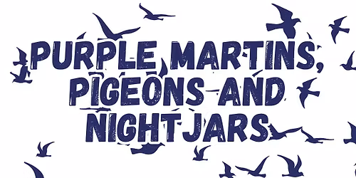 Family Nature Program