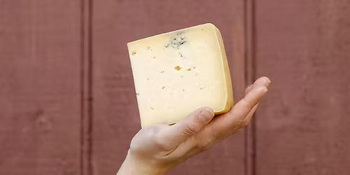 Cheesemaking Class for Kids!