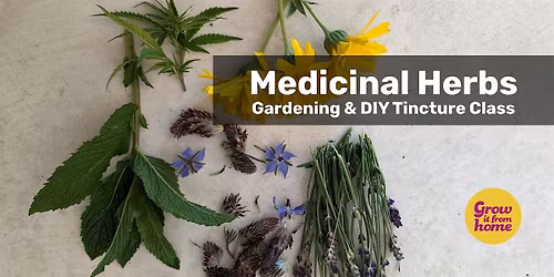 DIY Medicinal Herbs Workshop @ Dublin