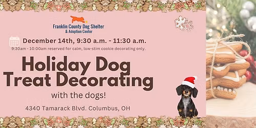 Holiday Dog Treat Decorating - with the dogs!
