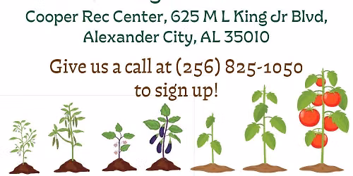 Garden & Grow (4-H and EFNEP)