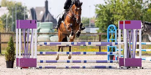 Outdoor springen paarden & pony's 