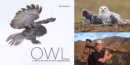 OWL: A Year in The Lives of North American Owls - LIVE w/ Paul Bannick