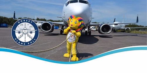 Dorset Plane Pull