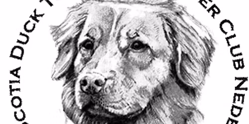 Seniorendag, zondag 31 mei 2026