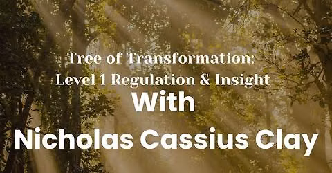 Tree of Transformation: Level Regulation & Insight with Nicholas Cassius Clay