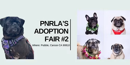 PNRLA Adoption Fair #2 at the Pubble