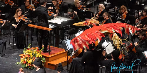 West Virginia Symphony Orchestra - Ode to Joy at Clay Center