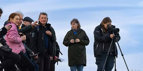 December bird survey at Greyhope Bay