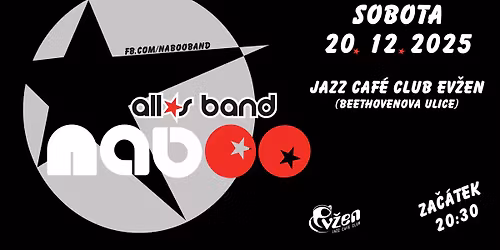 V\u00e1no\u010dn\u00ed tane\u010dn\u00ed ve\u010d\u00edrek s Naboobandem