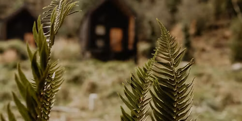 Bottled Wisdom: A Witches Retreat for Potion Making