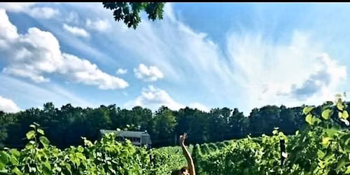 Yoga Sundays at Lost Acres Vineyard