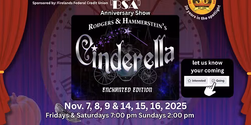 BSAs Cinderella Enchanted Edition